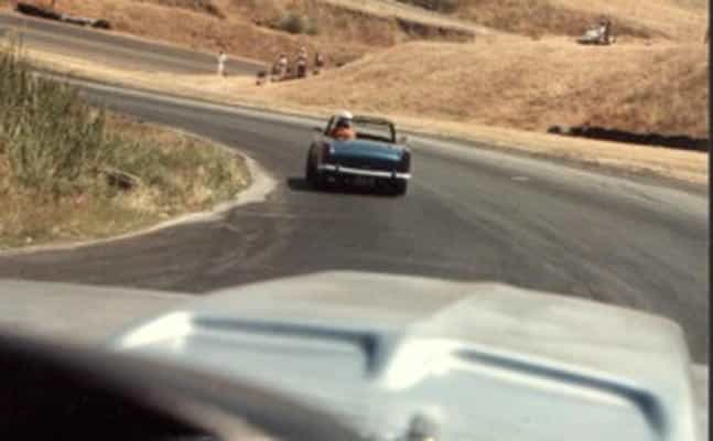 mustang follow tiger