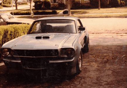 mustang front shot